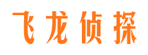 鱼台市侦探公司